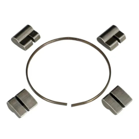 Empire BMX cassette spring / pawl set